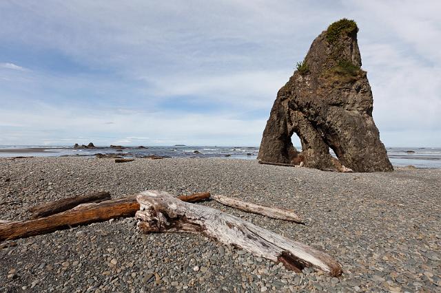 095 Olympic NP.jpg